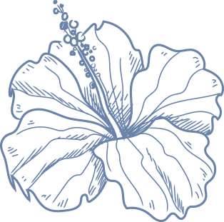 fiji water hibiscus flower